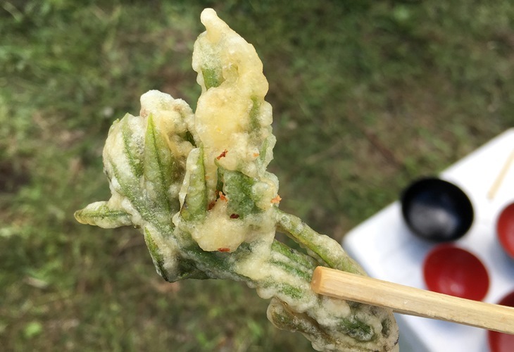 ウルシの芽の天ぷらを食べる！